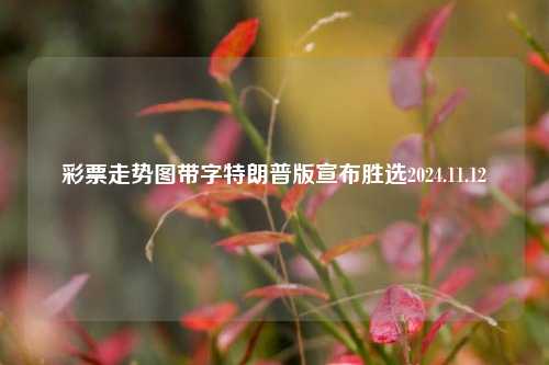 彩票走势图带字特朗普版宣布胜选2024.11.12