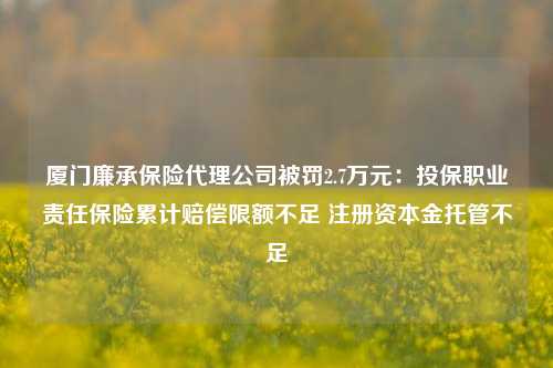 厦门廉承保险代理公司被罚2.7万元：投保职业责任保险累计赔偿限额不足 注册资本金托管不足