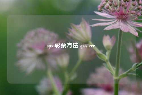 spss彩票方法,spss zre