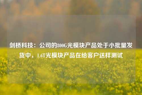 剑桥科技：公司的800G光模块产品处于小批量发货中，1.6T光模块产品在给客户送样测试