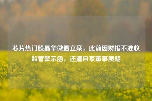 芯片热门股晶华微遭立案，此前因财报不准收监管警示函，还遭自家董事质疑