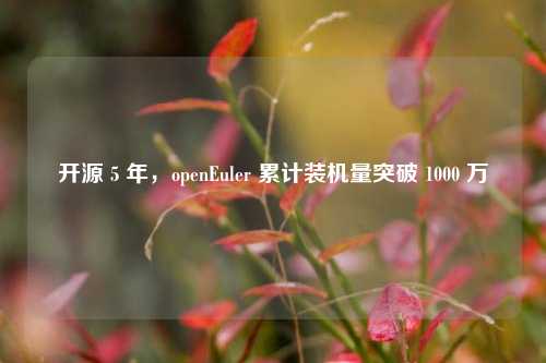 开源 5 年，openEuler 累计装机量突破 1000 万