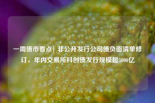 一周债市看点| 非公开发行公司债负面清单修订，年内交易所科创债发行规模超5000亿