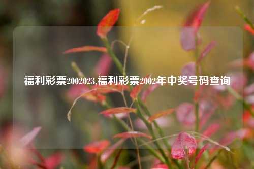 福利彩票2002023,福利彩票2002年中奖号码查询