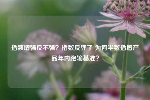 指数增强反不强？指数反弹了 为何半数指增产品年内跑输基准？