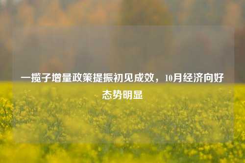 一揽子增量政策提振初见成效，10月经济向好态势明显