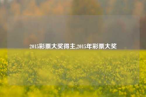 2015彩票大奖得主,2015年彩票大奖