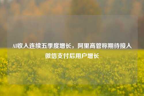 AI收入连续五季度增长，阿里高管称期待接入微信支付后用户增长