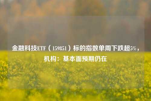 金融科技ETF（159851）标的指数单周下跌超5%，机构：基本面预期仍在