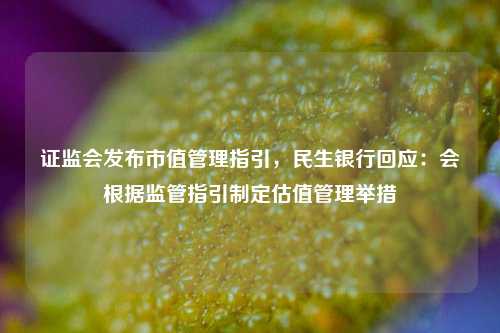 证监会发布市值管理指引，民生银行回应：会根据监管指引制定估值管理举措