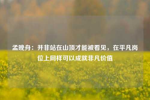 孟晚舟：并非站在山顶才能被看见，在平凡岗位上同样可以成就非凡价值