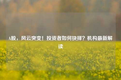 A股，风云突变！投资者如何抉择？机构最新解读