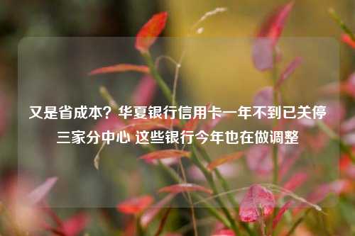 又是省成本？华夏银行信用卡一年不到已关停三家分中心 这些银行今年也在做调整