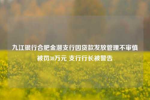 九江银行合肥金潜支行因贷款发放管理不审慎被罚30万元 支行行长被警告