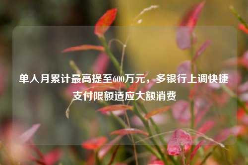 单人月累计最高提至600万元，多银行上调快捷支付限额适应大额消费