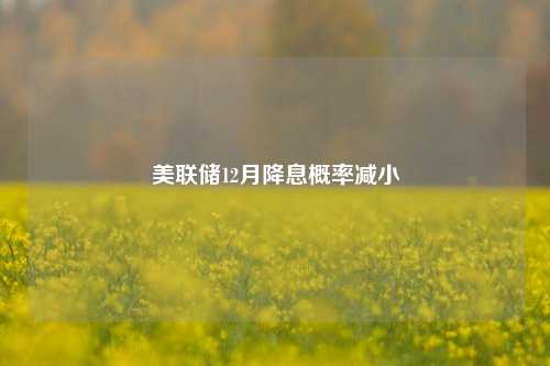 美联储12月降息概率减小