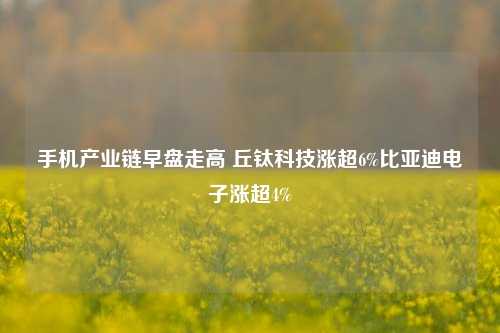 手机产业链早盘走高 丘钛科技涨超6%比亚迪电子涨超4%