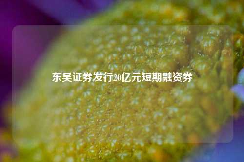 东吴证券发行20亿元短期融资券