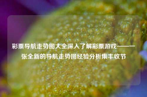 彩票导航走势图大全深入了解彩票游戏——一张全新的导航走势图经验分析集丰收节