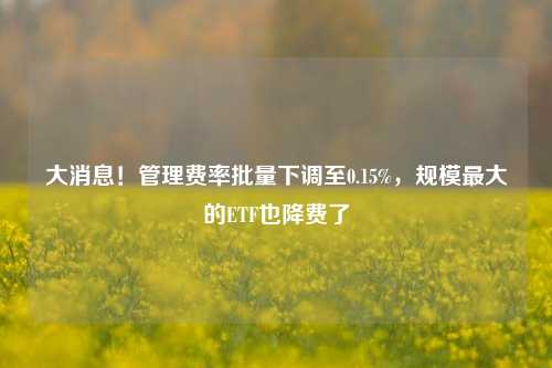 大消息！管理费率批量下调至0.15%，规模最大的ETF也降费了