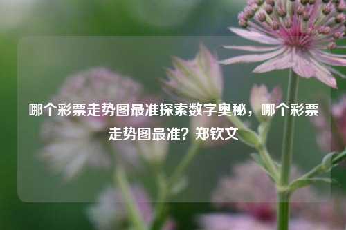 哪个彩票走势图最准探索数字奥秘，哪个彩票走势图最准？郑钦文