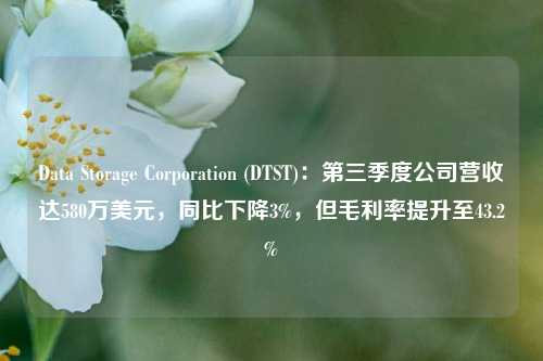 Data Storage Corporation (DTST)：第三季度公司营收达580万美元，同比下降3%，但毛利率提升至43.2%