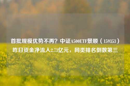 首批规模优势不再？中证A500ETF景顺（159353）昨日资金净流入2.73亿元，同类排名倒数第三