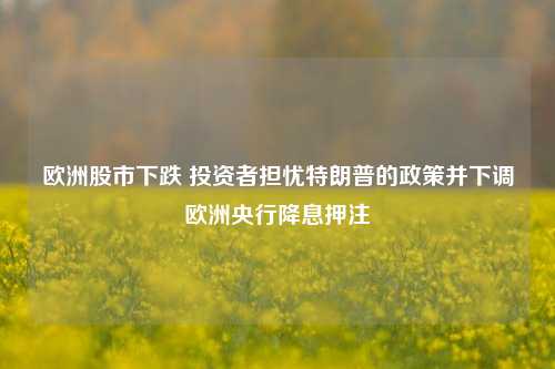 欧洲股市下跌 投资者担忧特朗普的政策并下调欧洲央行降息押注