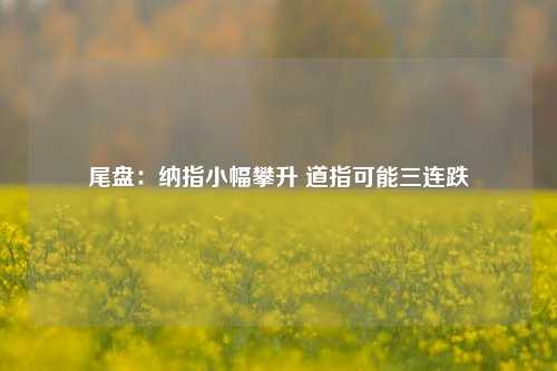 尾盘：纳指小幅攀升 道指可能三连跌