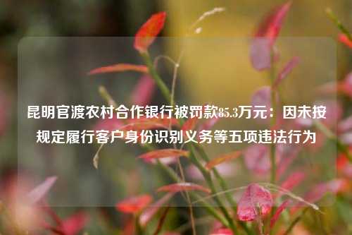 昆明官渡农村合作银行被罚款85.3万元：因未按规定履行客户身份识别义务等五项违法行为