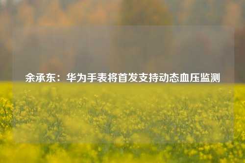 余承东：华为手表将首发支持动态血压监测