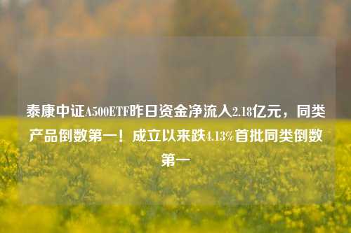 泰康中证A500ETF昨日资金净流入2.18亿元，同类产品倒数第一！成立以来跌4.13%首批同类倒数第一