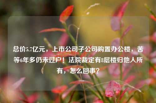 总价5.7亿元，上市公司子公司购置办公楼，苦等6年多仍未过户！法院裁定有8层楼归他人所有，怎么回事？