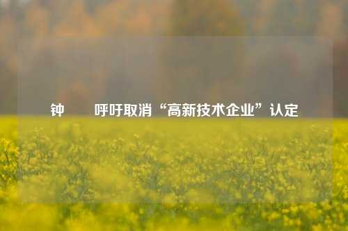 钟睒睒呼吁取消“高新技术企业”认定