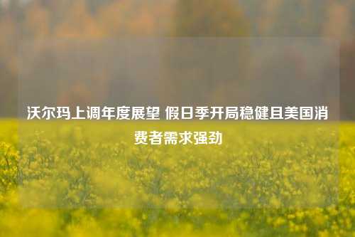 沃尔玛上调年度展望 假日季开局稳健且美国消费者需求强劲