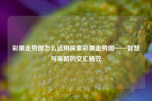 彩票走势图怎么运用探索彩票走势图——智慧与策略的交汇杨笠