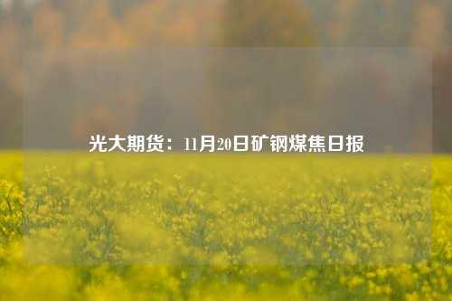 光大期货：11月20日矿钢煤焦日报