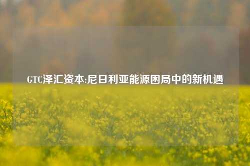 GTC泽汇资本:尼日利亚能源困局中的新机遇