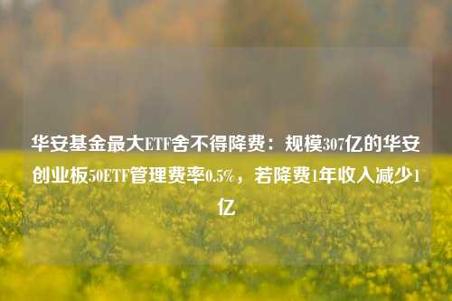 华安基金最大ETF舍不得降费：规模307亿的华安创业板50ETF管理费率0.5%，若降费1年收入减少1亿