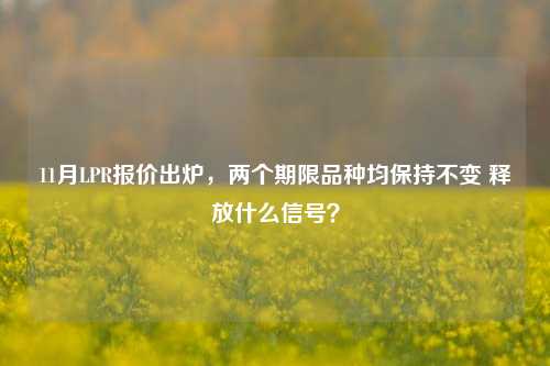 11月LPR报价出炉，两个期限品种均保持不变 释放什么信号？