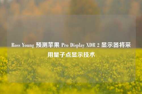 Ross Young 预测苹果 Pro Display XDR 2 显示器将采用量子点显示技术