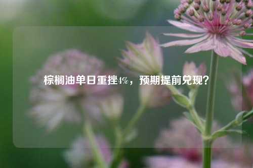 棕榈油单日重挫4%，预期提前兑现？