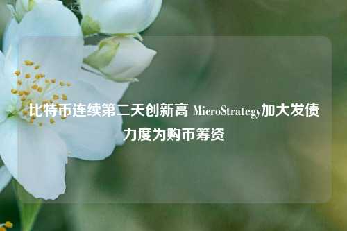 比特币连续第二天创新高 MicroStrategy加大发债力度为购币筹资