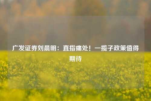 广发证券刘晨明：直指痛处！一揽子政策值得期待