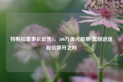 特斯拉董事长出售3，500万美元股票 套现适逢股价飙升之时