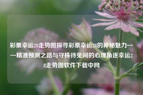 彩票幸运28走势图探寻彩票幸运28的神秘魅力——精准预测之路与守株待兔间的心理角逐幸运28走势图软件下载中网