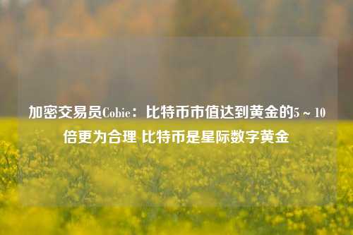 加密交易员Cobie：比特币市值达到黄金的5～10倍更为合理 比特币是星际数字黄金