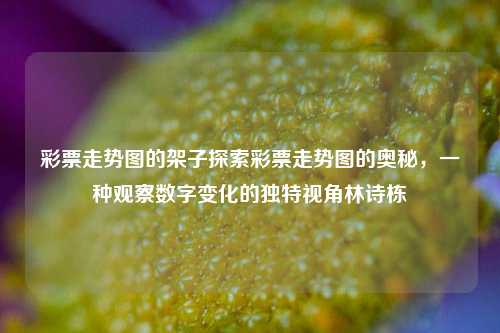 彩票走势图的架子探索彩票走势图的奥秘，一种观察数字变化的独特视角林诗栋