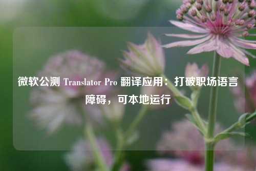 微软公测 Translator Pro 翻译应用：打破职场语言障碍，可本地运行