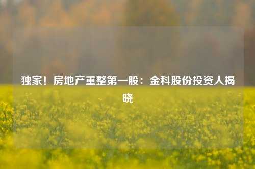 独家！房地产重整第一股：金科股份投资人揭晓